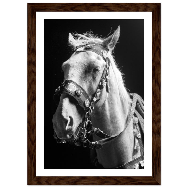 09-Portrait of the Horse-Premium Framed Poster-1111-Augmented Reality Wall Art-Premium Quality