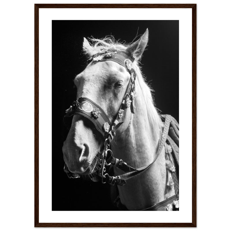 09-Portrait of the Horse-Premium Framed Poster-1111-Augmented Reality Wall Art-Premium Quality